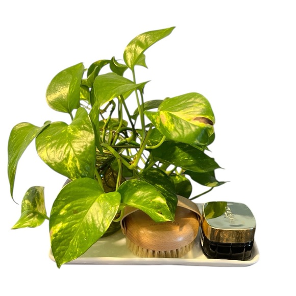 Crate & Barrel vanity-kitchen tray freeform rim ripples in the light Porcelain - Picture 4 of 8